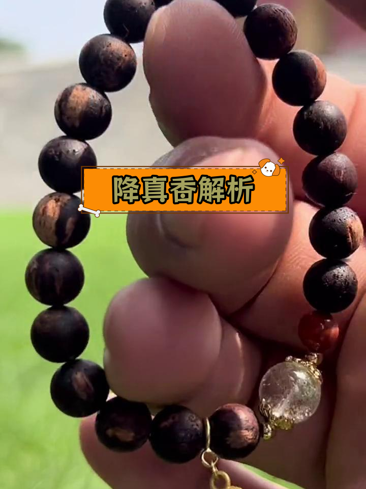 降真香的四种类型与特点