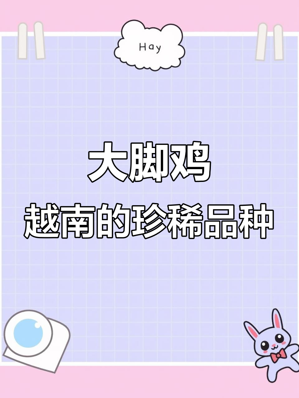 越南大脚鸡，每只价格超千元，公鸡中的“战斗机”