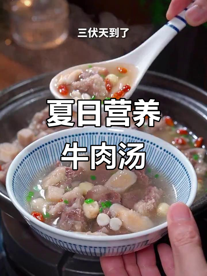 三伏天,牛肉汤滋补又美味,家人喝了都说好!