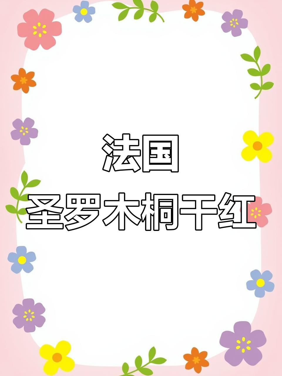 法国原瓶进口圣罗木桐干红,14度经典红酒,送礼佳选