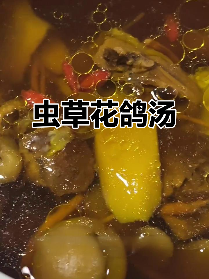 用炖盅做虫草花鸽子汤,滋补又美味