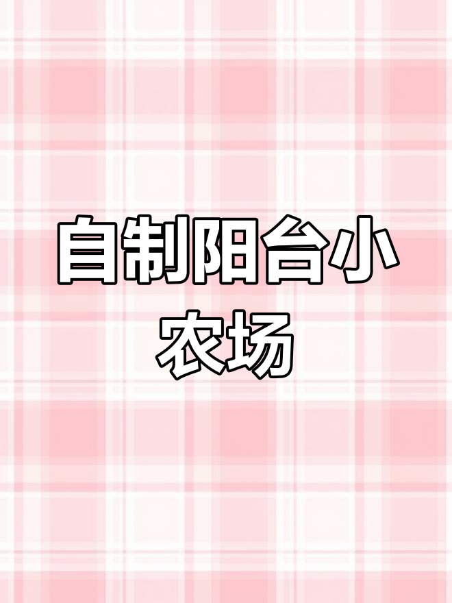 鱼菜共生系统搭建与过滤材料选择