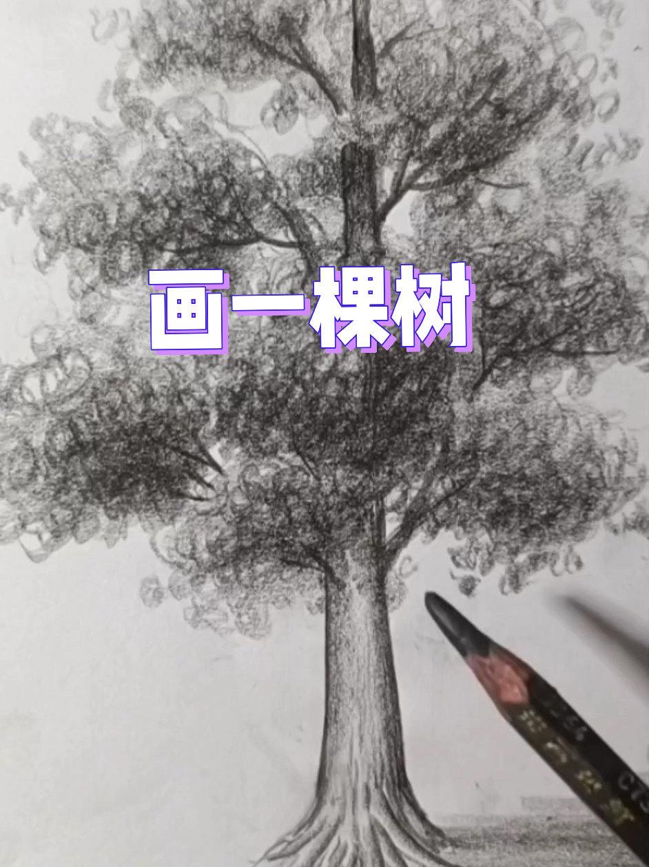 铅笔画树绘画教程