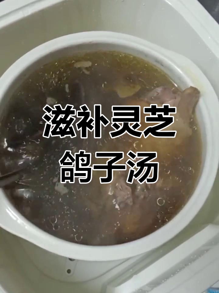 灵芝花旗参鸽子汤,熬夜必备营养