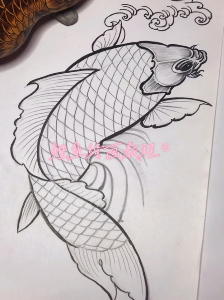 鲤鱼绘画教程