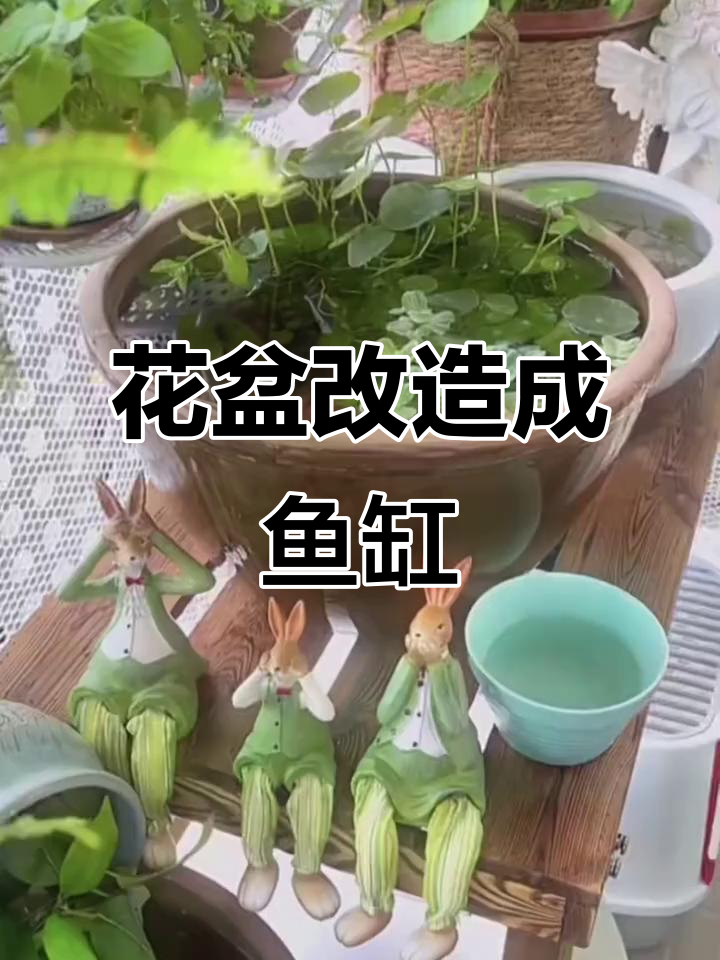 变废为宝!花盆变鱼缸,简单步骤教你DIY