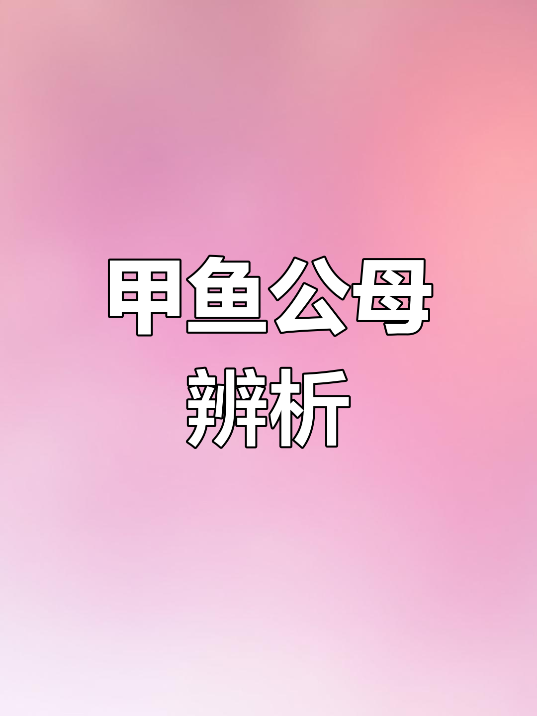 公甲鱼为何更珍贵?如何轻松辨别公母,掌握选购技巧!