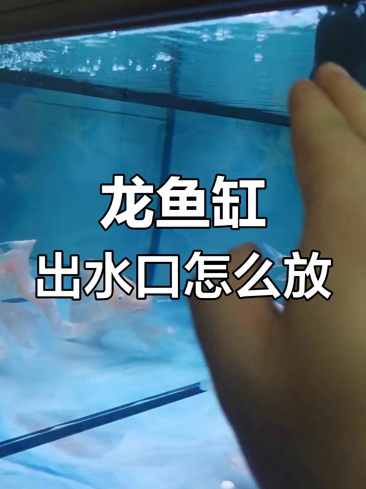 龙鱼缸出水口最佳布置技巧，避免漩涡和油膜堆积