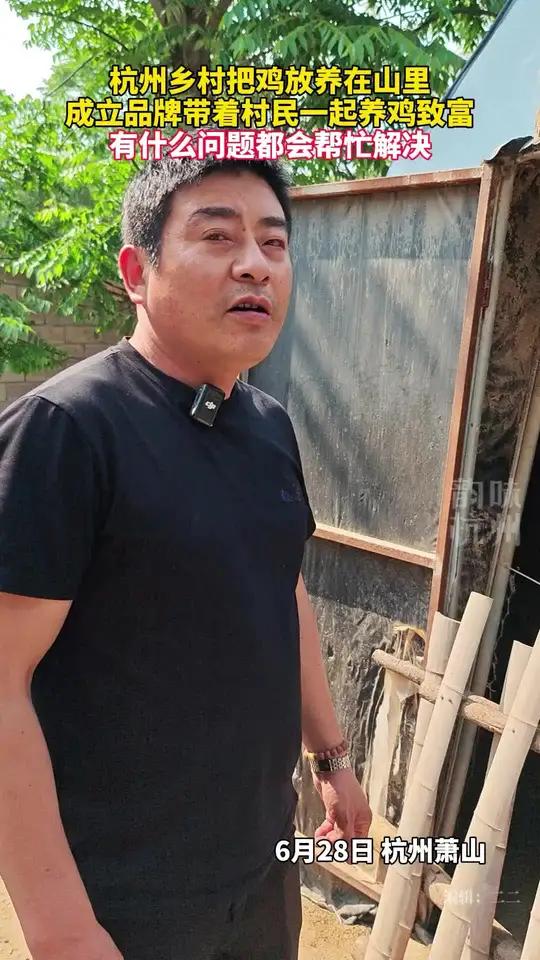 真正的放养鸡!专家进村监督指导养进化飞鸡,让村民养的更好,赚的更多城乡融合新画卷 来源:杭