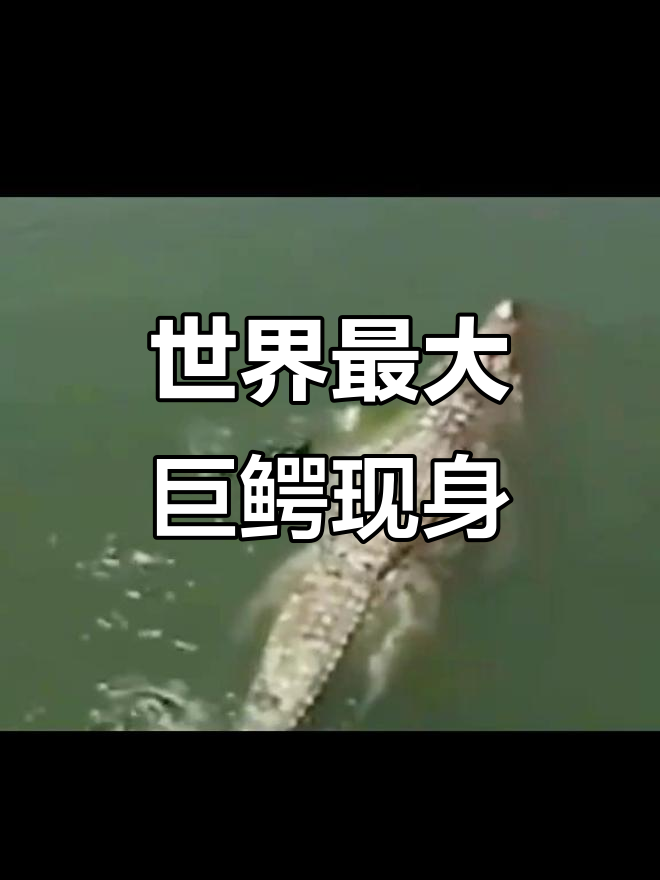 发现史上最大鳄鱼,竟有几十米长!