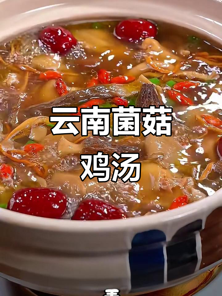 云南菌菇鸡汤,炖出鲜美滋味,鸡肉酥嫩不腥