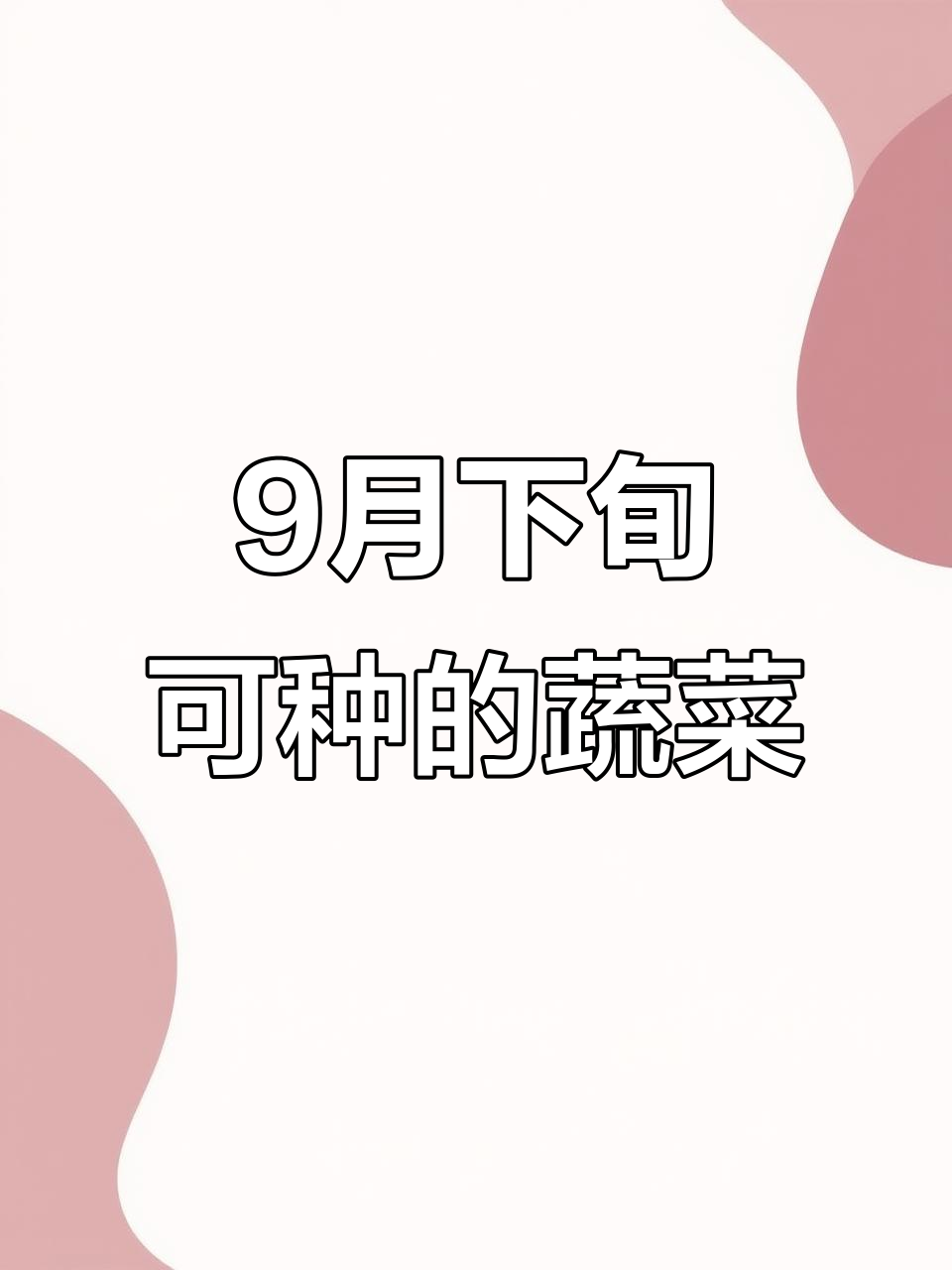 9月还能种什么菜?这些蔬菜适合此时播种