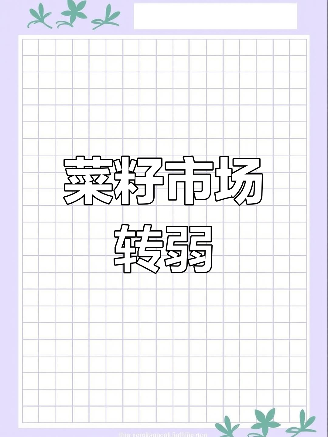 新荠菜籽上市,陈货价格波动!江苏湖北等地行情解析