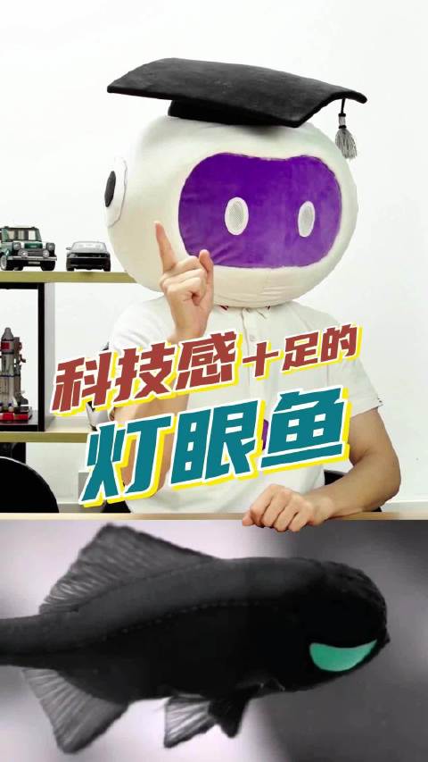 未来世界的赛博生物!科技感十足的灯眼鱼你认识吗?灯眼鱼 动物的迷惑行为