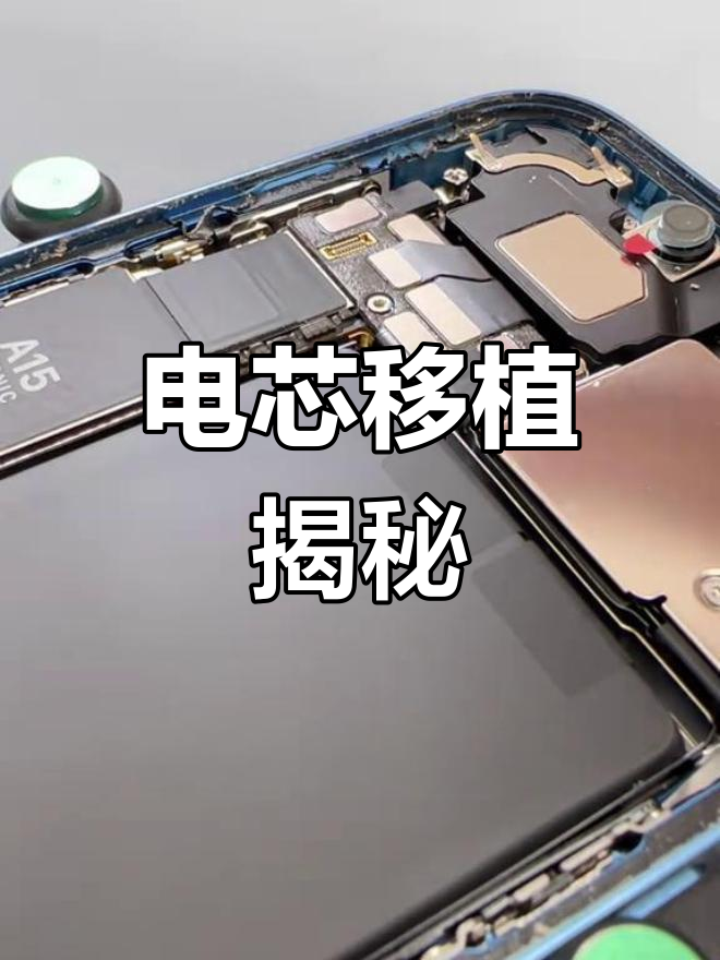 南昌精细维修,电芯移植全解析