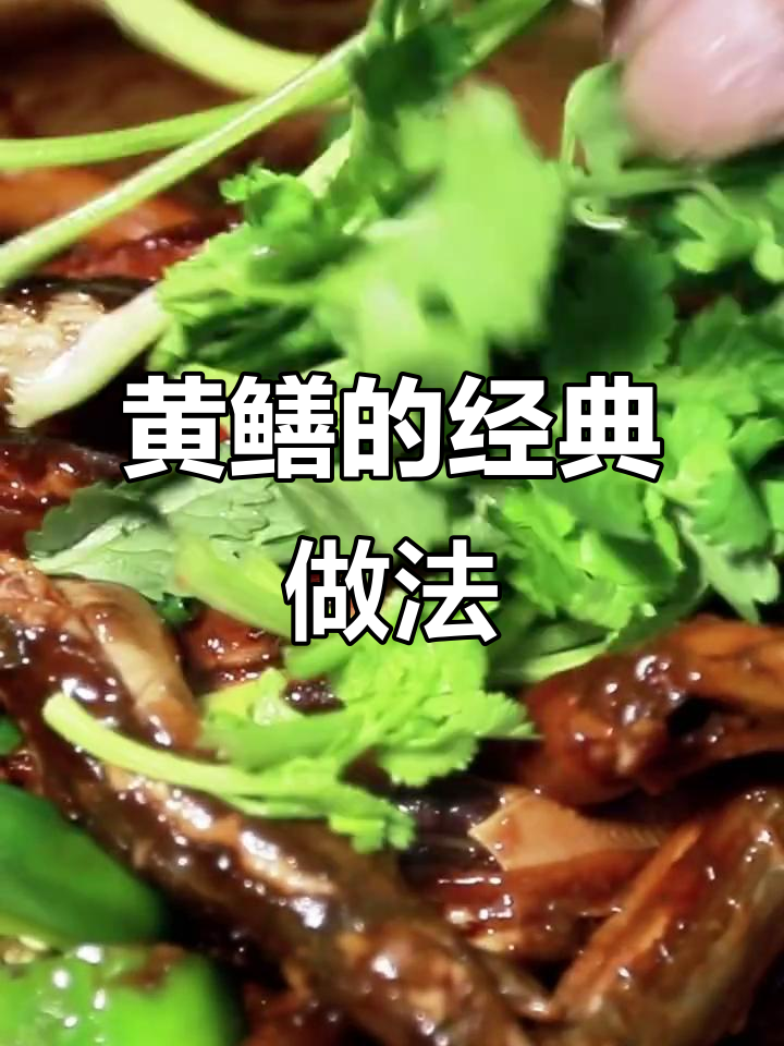 广州黄鳝做法大揭秘,精致粤菜轻松学