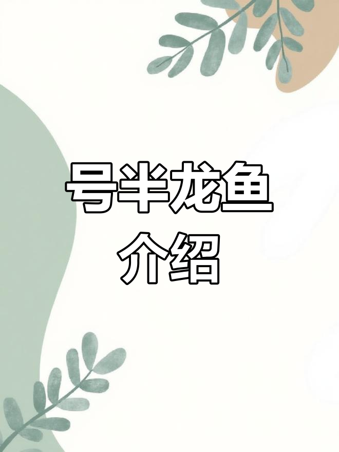 龙鱼种类解析:号半龙鱼的独特特征