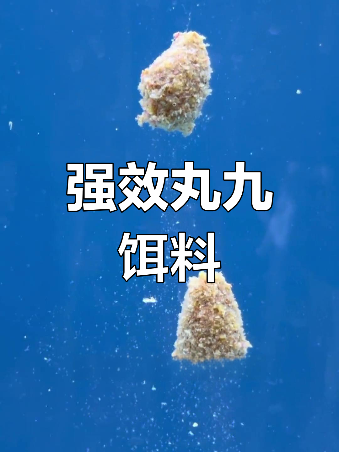丸九强力诱鱼浓腥配方,适合冬钓鲫鱼