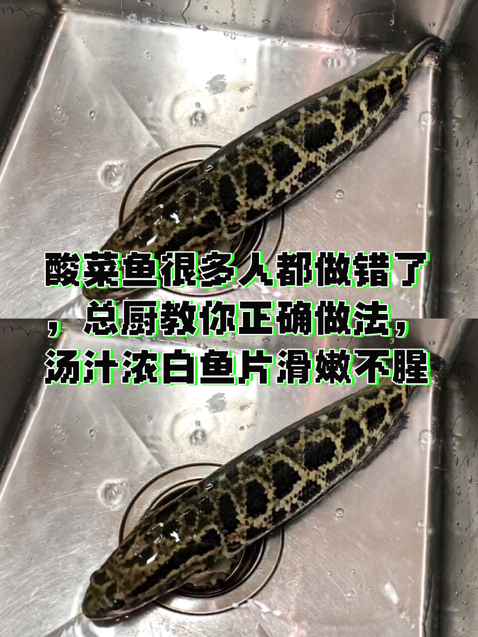 酸菜鱼很多人都做错了,总厨教你正确做法