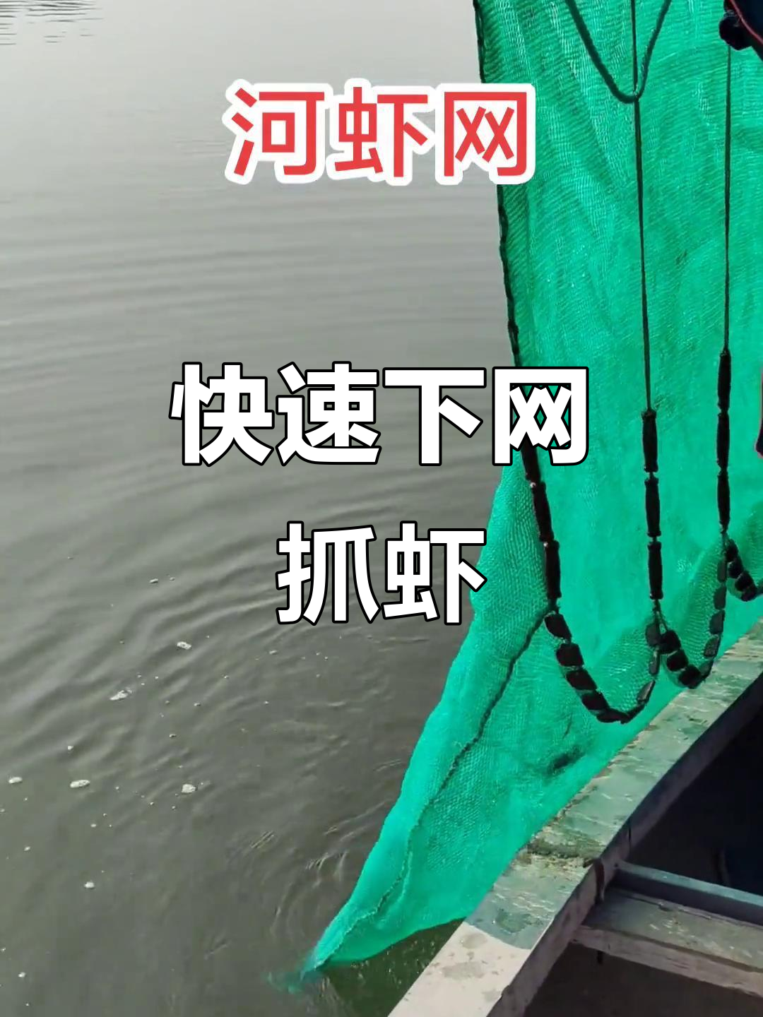 河虾网拖捕过程大揭秘，简单粗暴的拉网方式