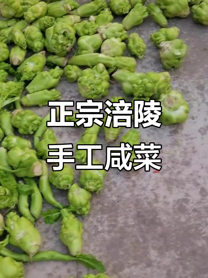 重庆涪陵手工咸菜的独特制作工艺,纯天然绿色蔬菜的秘密