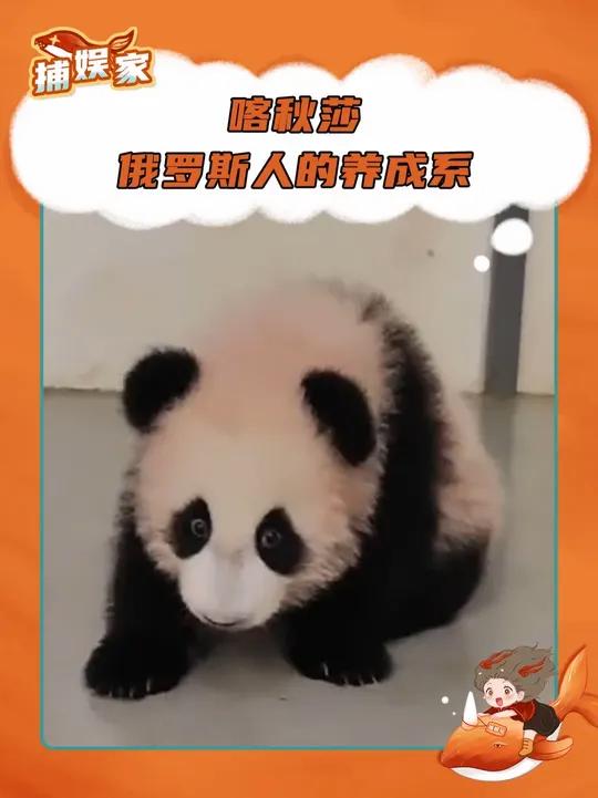 俄罗斯棕熊:你们这群崇洋媚外的家伙!