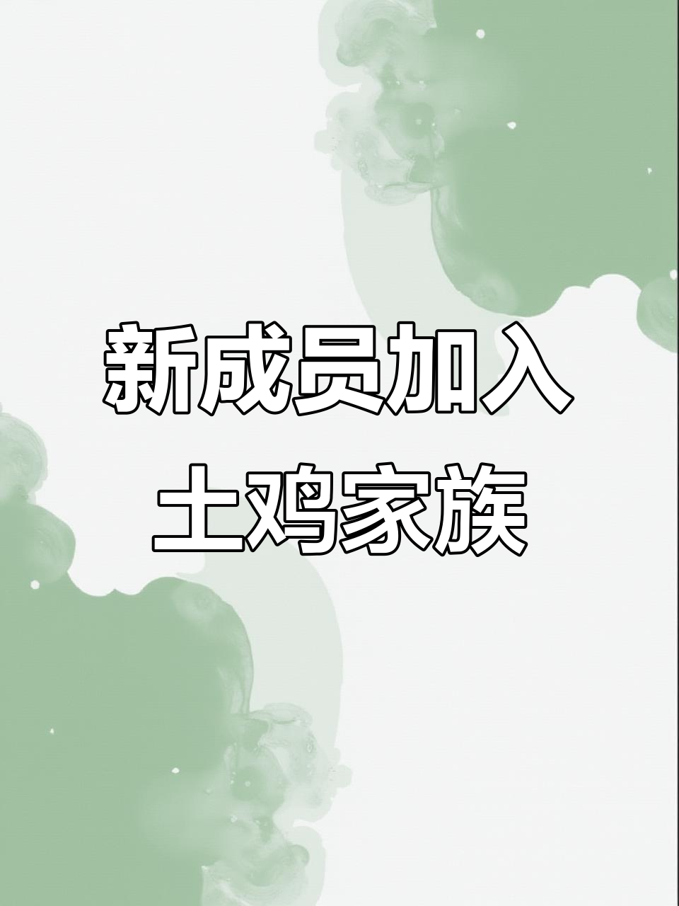 家里土鸡又添新成员,散养跑山鸡带来更多惊喜