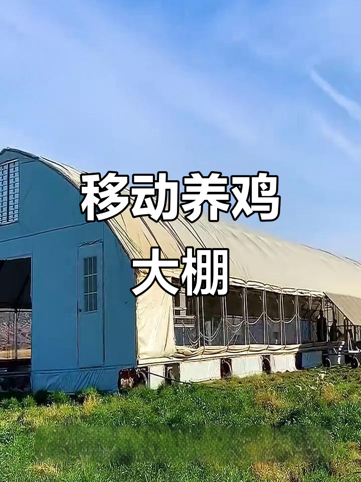 美国移动养鸡大棚,一人轻松管理6000只鸡