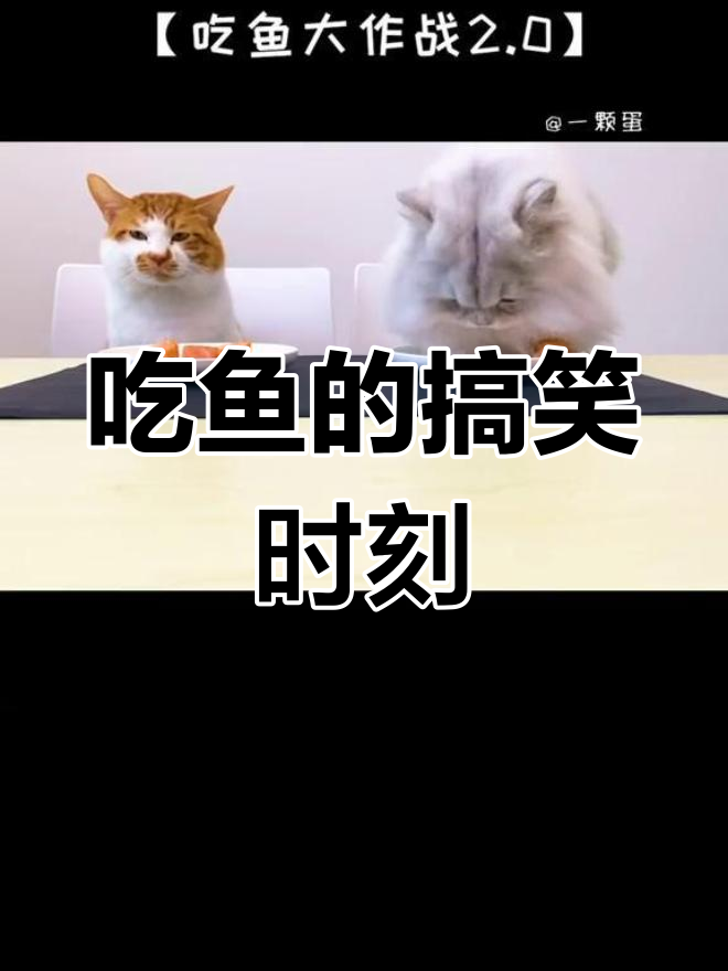 吃鱼大作战升级版,表情包全程在线!
