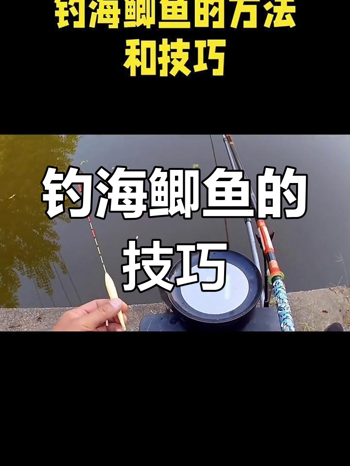 海鲫鱼钓法全攻略:如何选择合适的钓具和饵料