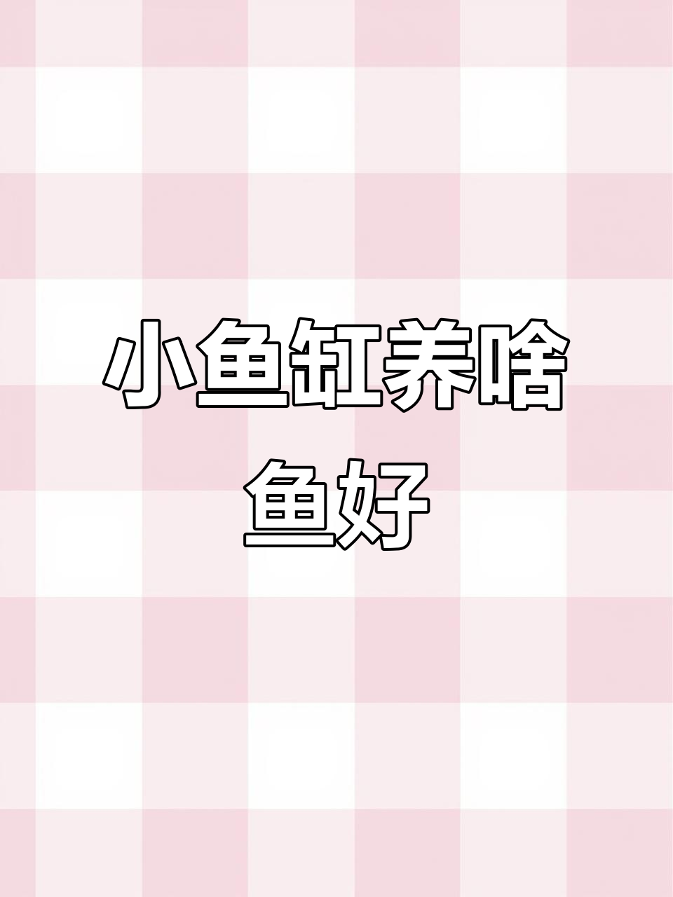 40小鱼缸开缸,养什么鱼最合适?