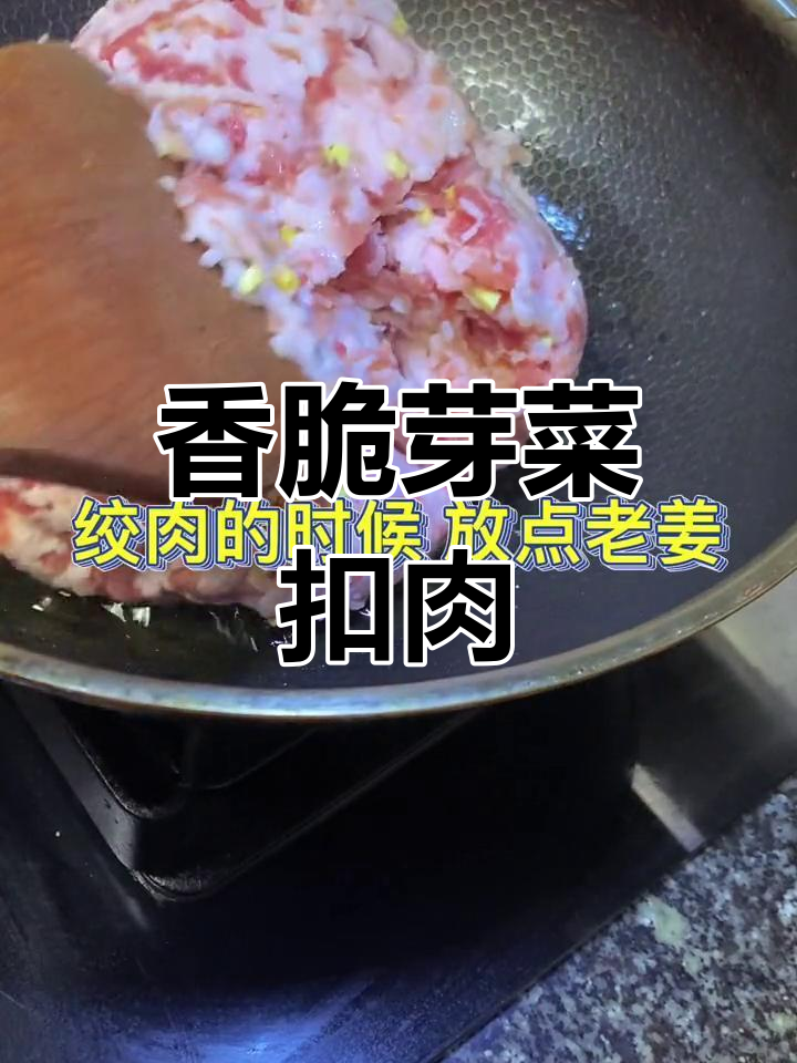 芽菜炒肉末,香气扑鼻!配饭下面都超下饭