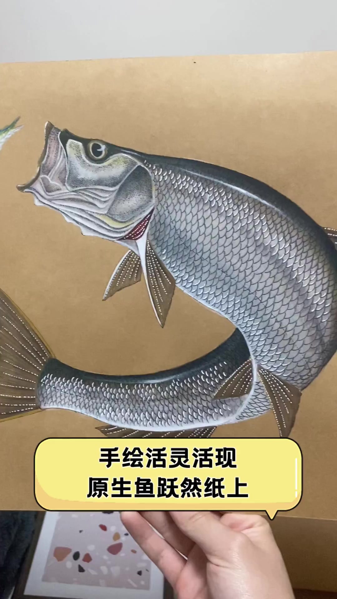 手绘活灵活现,原生鱼跃然纸上