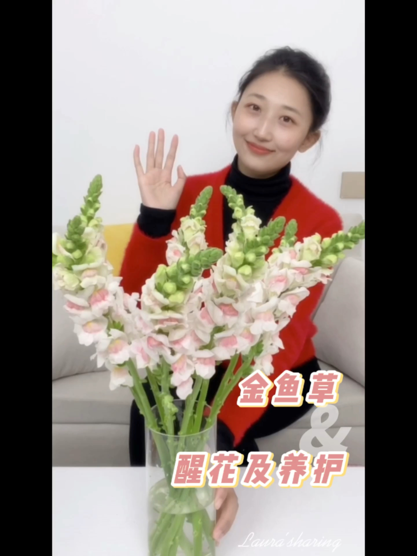鲜花养护|金鱼草养护教程