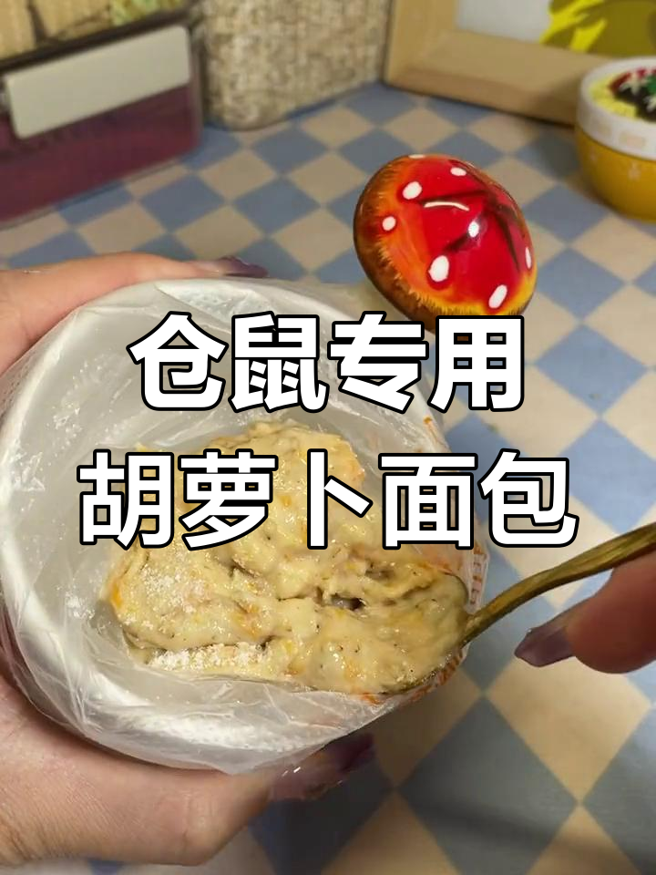 仓鼠也能吃的胡萝卜面包,简单又美味