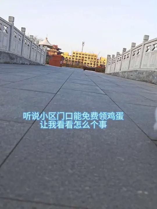 听说能免费领鸡蛋