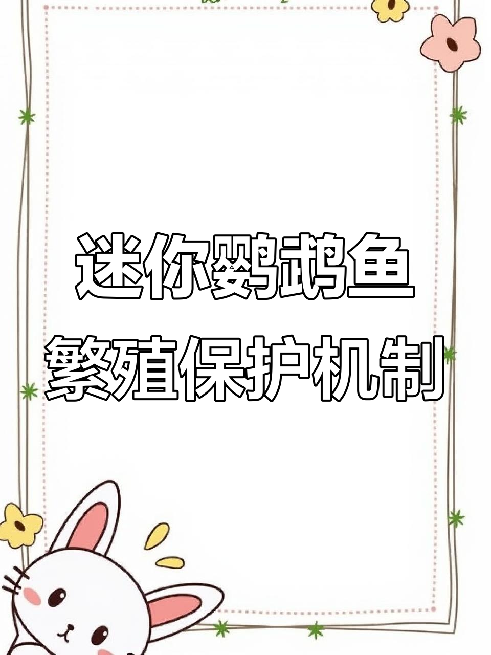 迷你鹦鹉鱼产卵后攻击力大增,公母联手清理坏卵