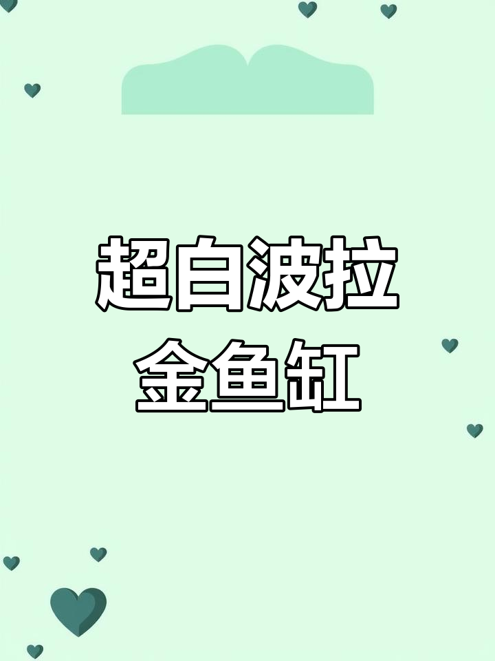 博特鱼缸:超白玻璃、铝合金柜体,经典配色与底滤系统完美结合