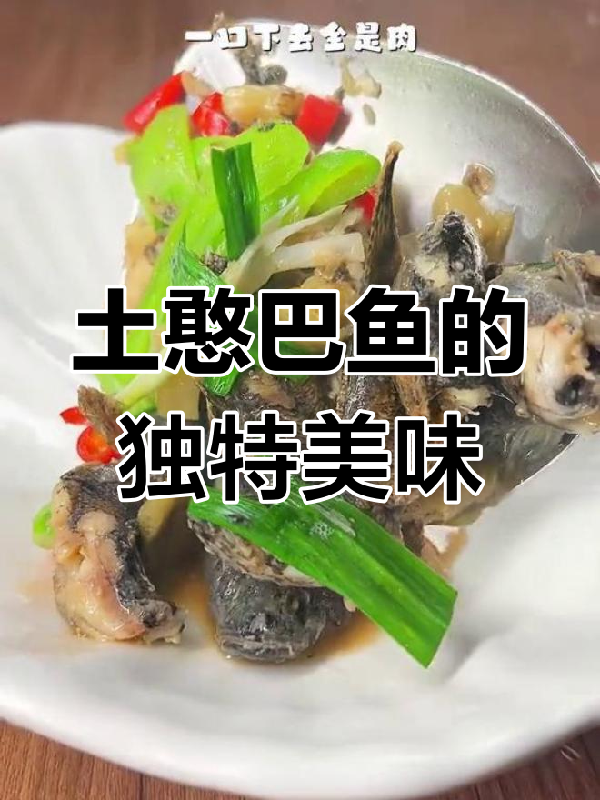 湖北土憨巴鱼,一口吃到大快朵颐的满足感