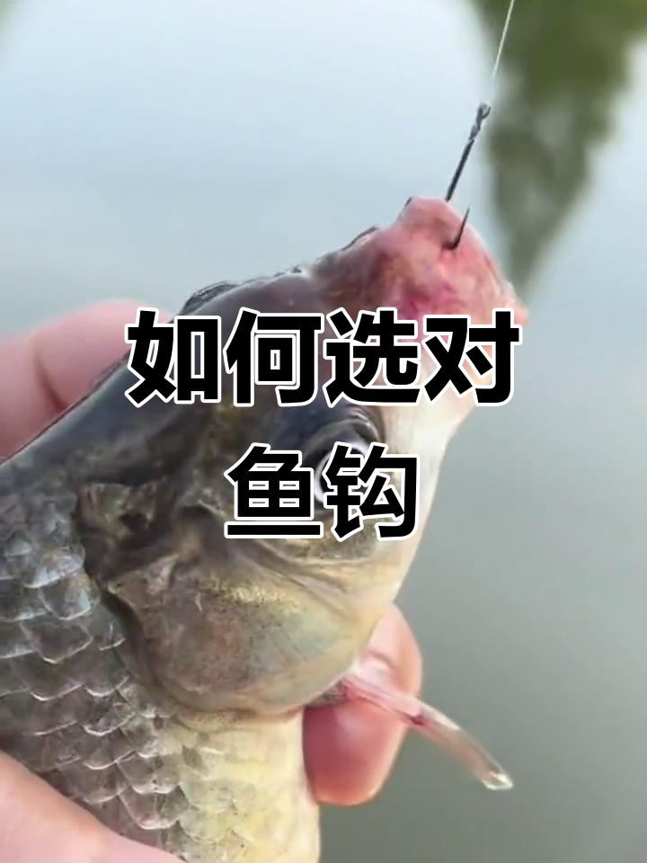 钓鱼新手如何选择鱼钩?三大类型解析