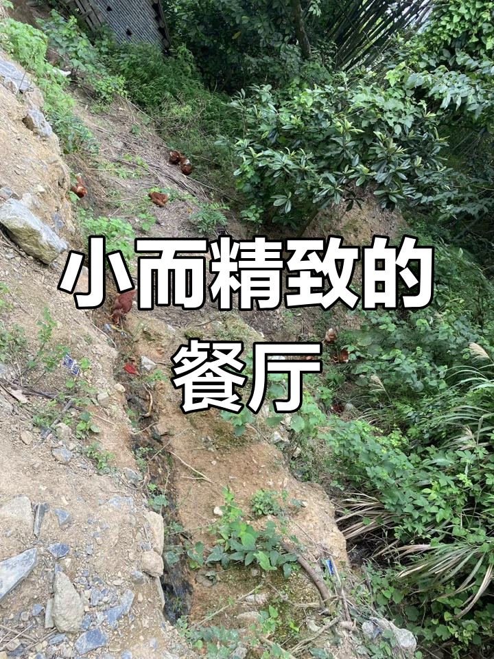 餐厅虽小,食材一流!每天忙得团团转,赚的却不多