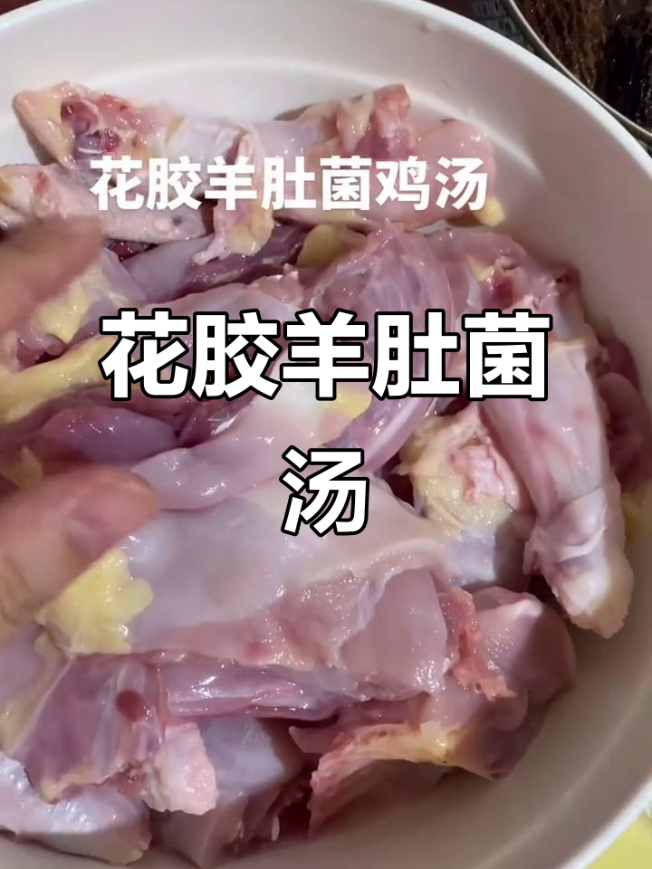 开学前必喝!花胶羊肚菌鸡汤,增强抵抗力
