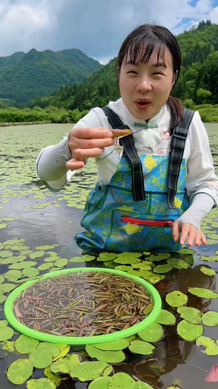 我们采莼菜只要嫩芽，老叶子不要