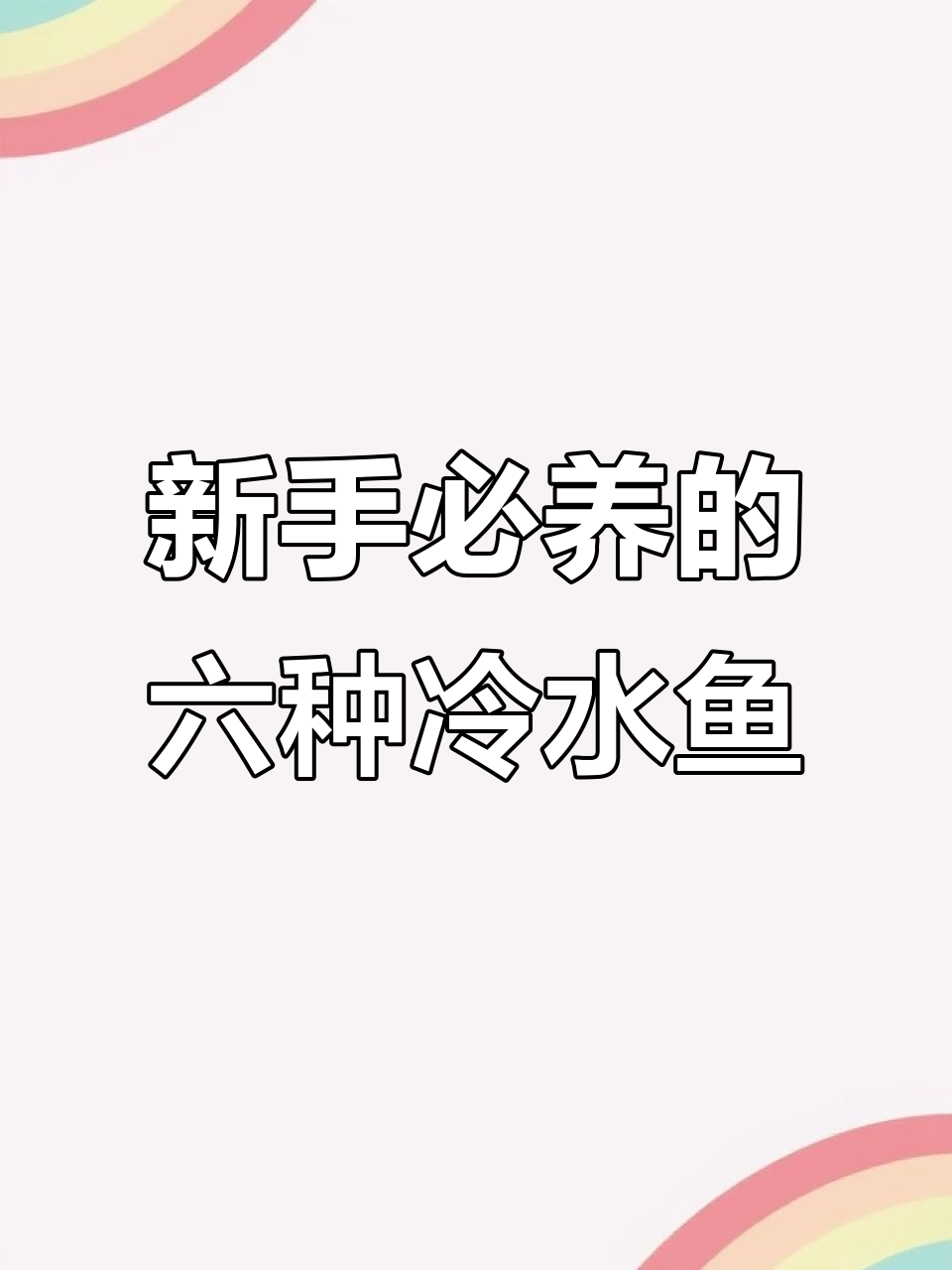 六大冷水鱼,适合新手养,无需加热轻松搞定
