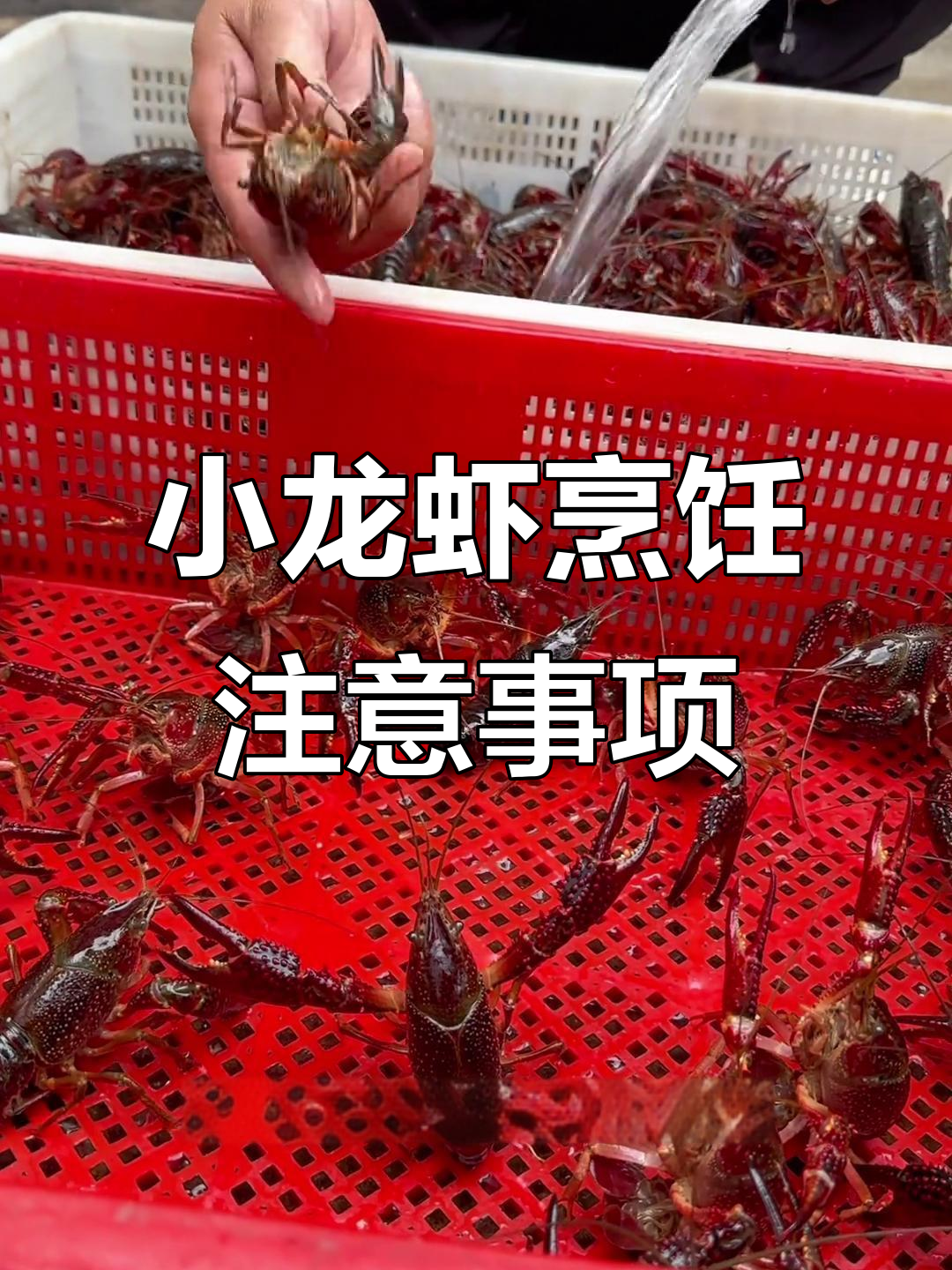餐饮店小龙虾烧制与保存技巧,红青虾分开处理更安全