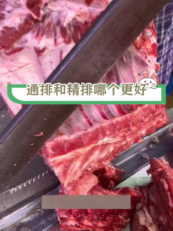 排骨种类大揭秘:通排与精排的区别
