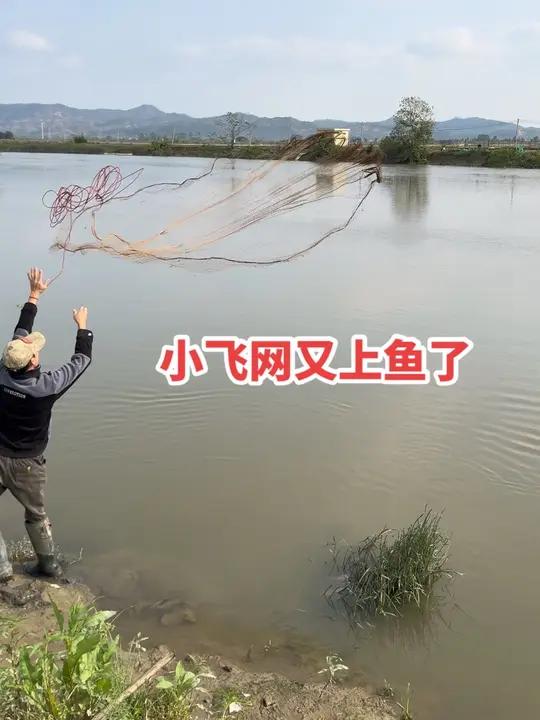 小飞网又上鱼了 #纯手工大力马撒网 #户外撒网捕鱼 #传统撒网 #手抛渔网 #手撒网