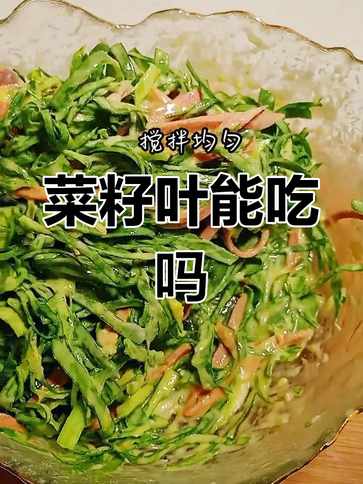 菜籽菜的叶子能食用吗
