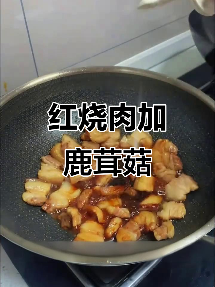 鹿茸菇炖红烧肉,家常砂锅菜做法大揭秘