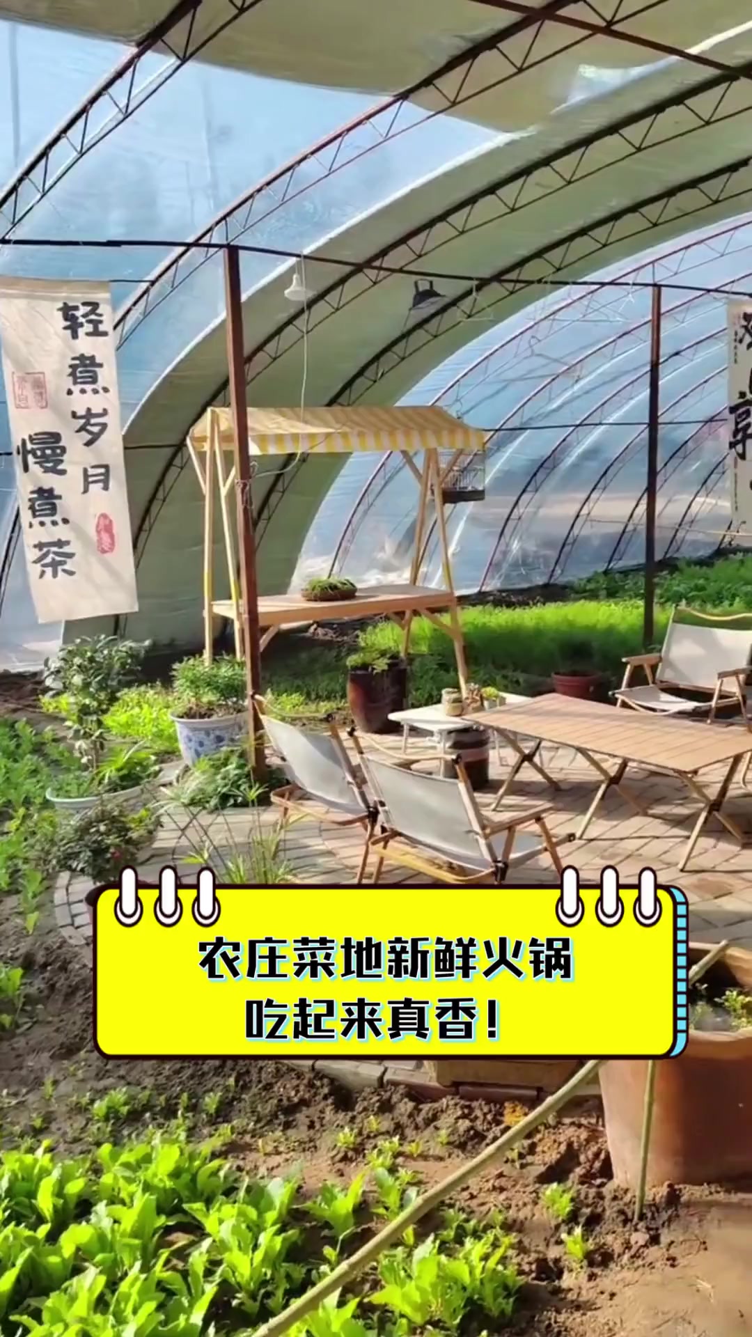 农庄菜地新鲜火锅,吃起来真香!